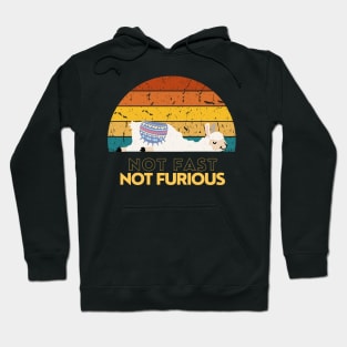 Not Fast Not Furious Lama Retro Hoodie